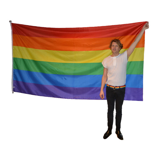 Pride Flaggstang Flagg 150x280 cm