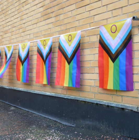 Inter Progress Bunting Flag Medium