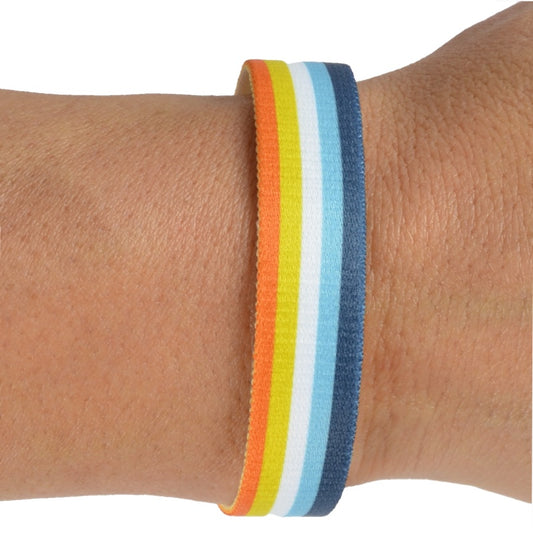 AroAce Pride Armbånd Elastisk