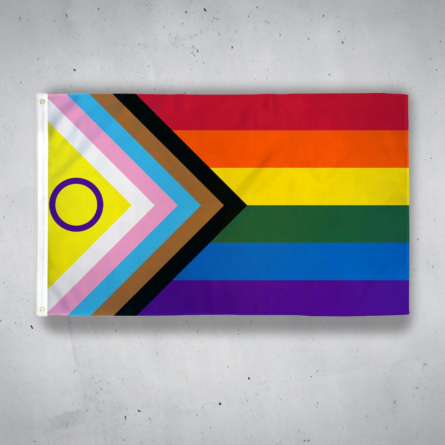 Intersex Progress Pride Flagg 150X240 cm