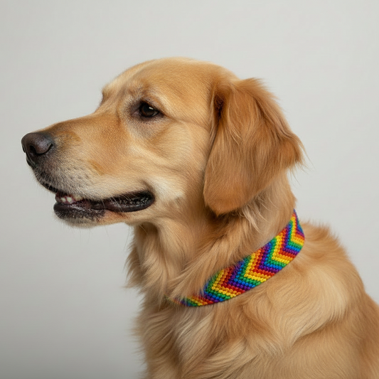 Håndlaget Halsbånd Hund