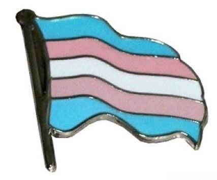 Trans flagg metallpin