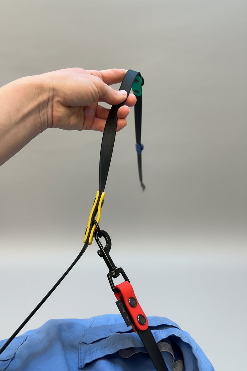 Pride hundekobbel 170 cm colourpop prideshoppen Regnbueshop 