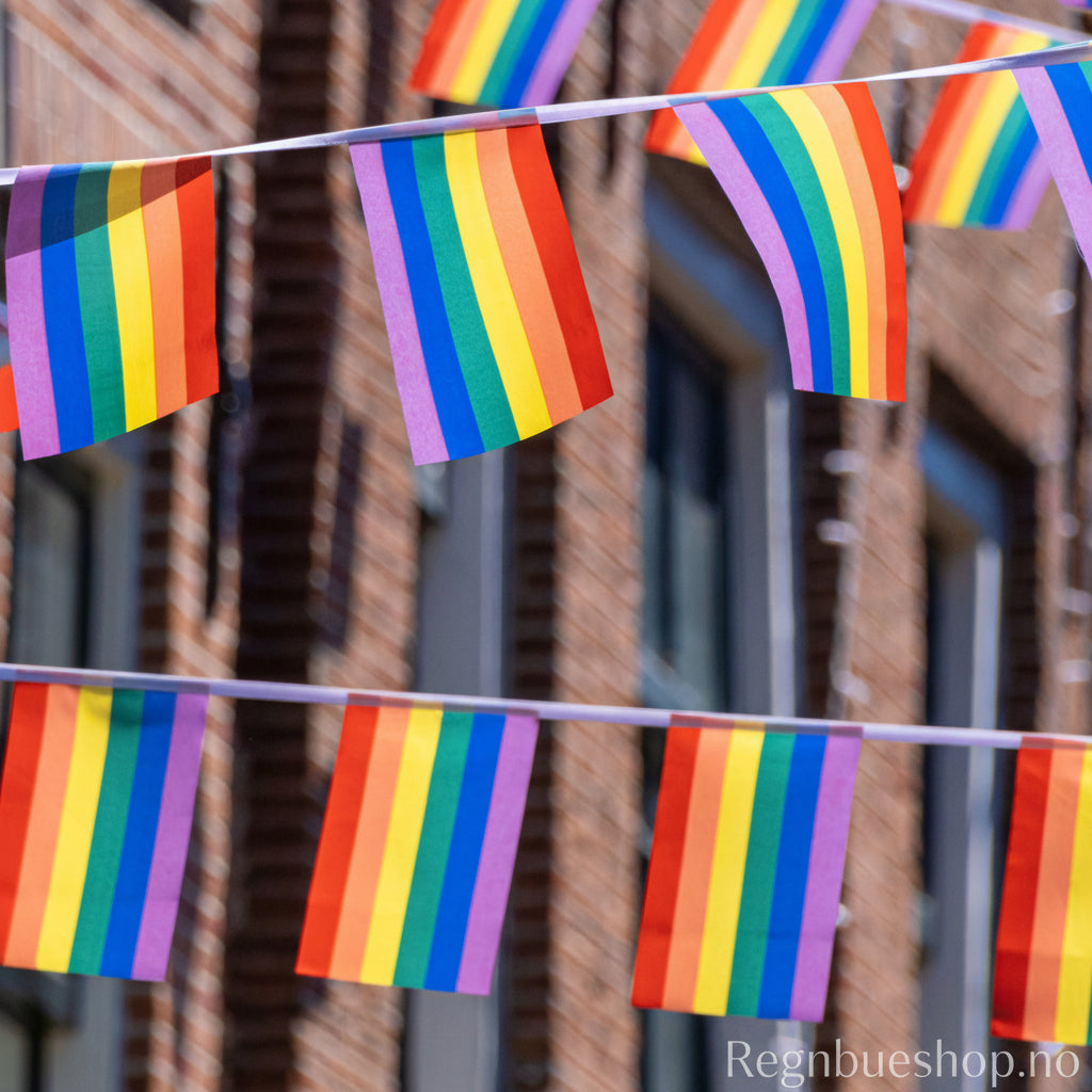 Regnbue Bunting Flag 9 m