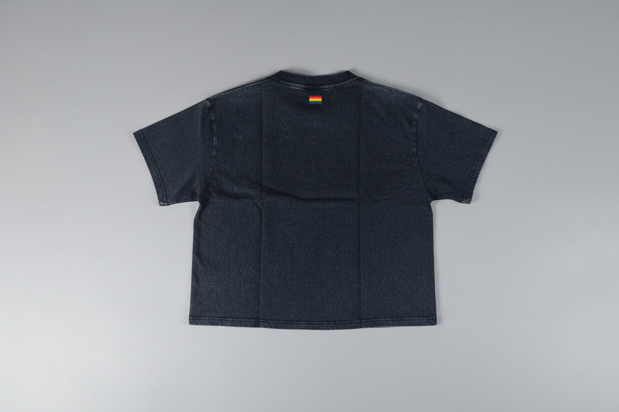 Unisex Vintage Wash Box T-skjorte prejudice