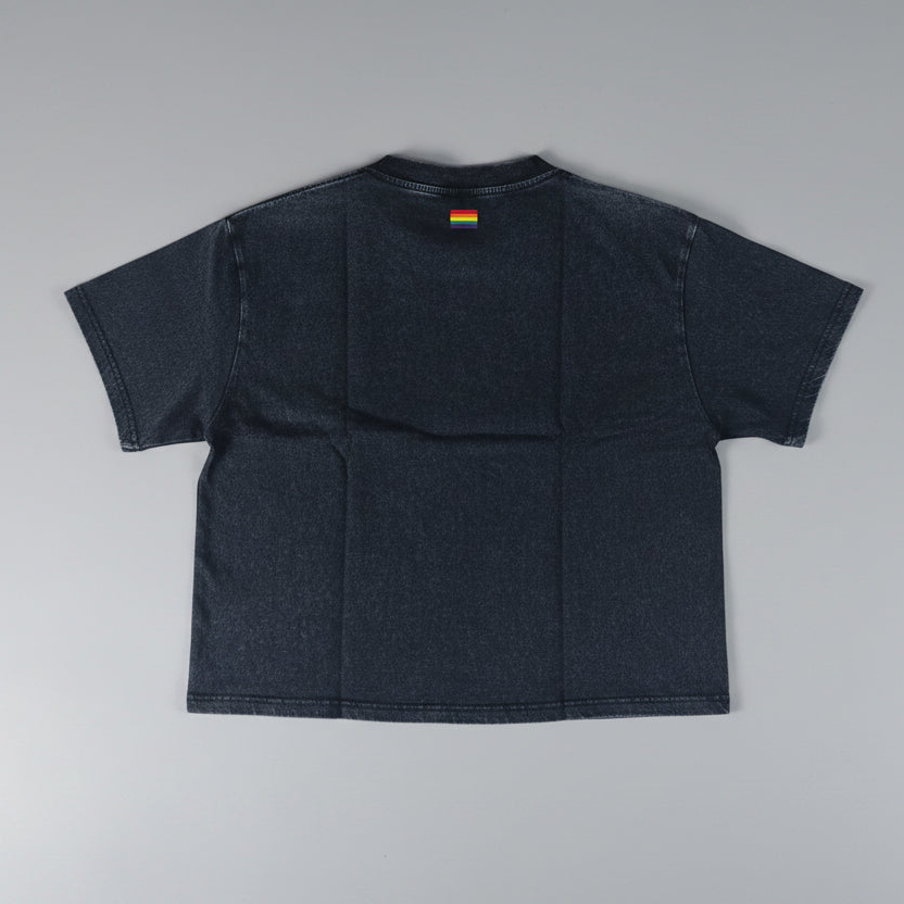 Unisex Vintage Wash Box T-skjorte prejudice
