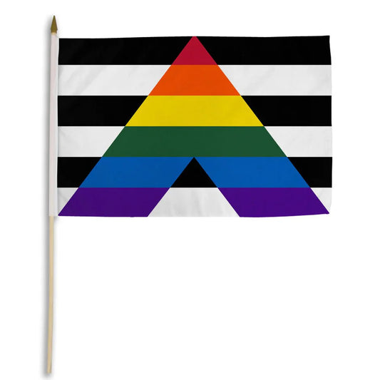 Straight Ally Håndflagg 30x45 cm