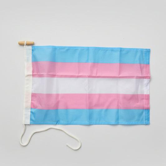 Trans DuraFlag® Pride flagg 30x50 cm