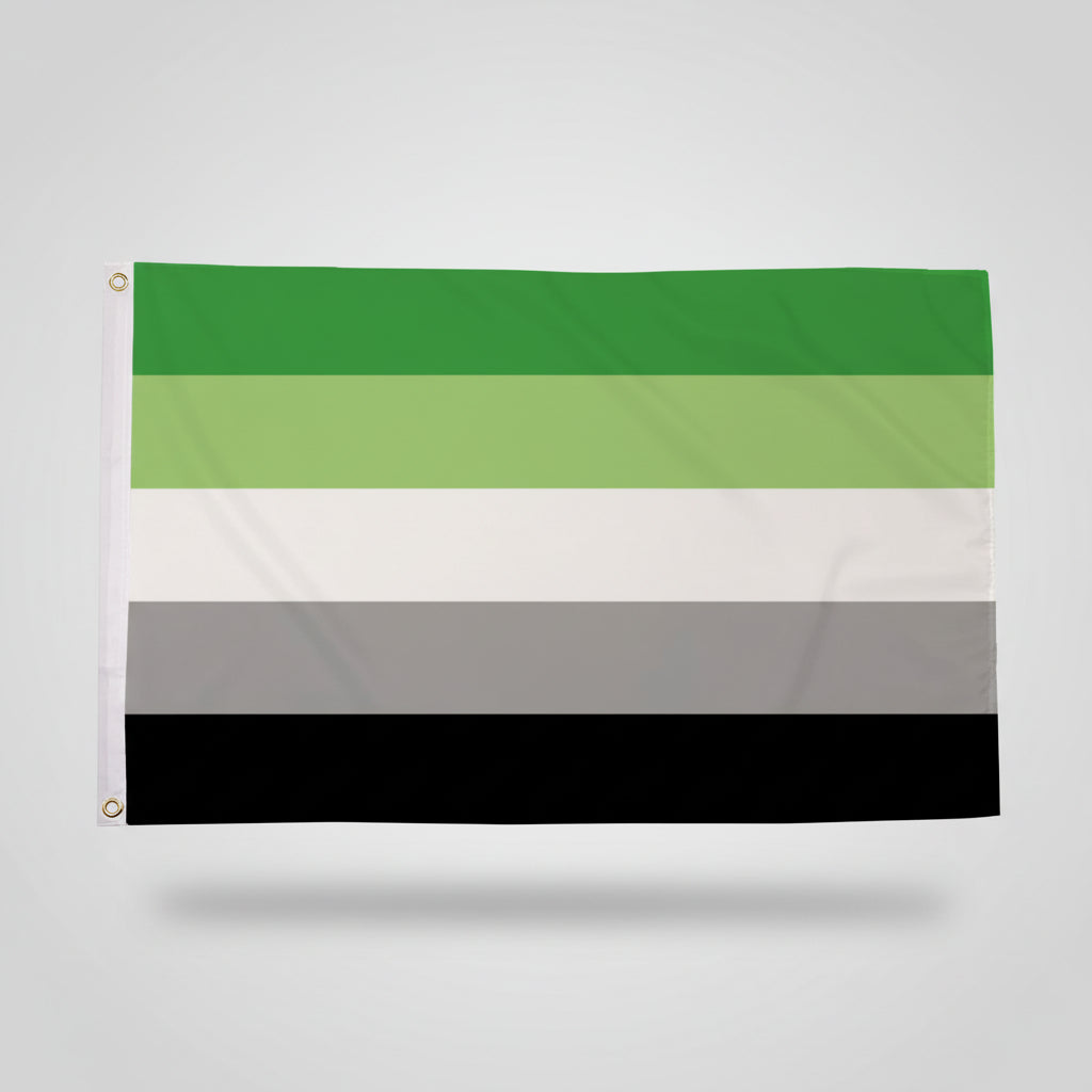 Regnbueshop - Aromantic Pride flagg 90x150 cm - Flagg