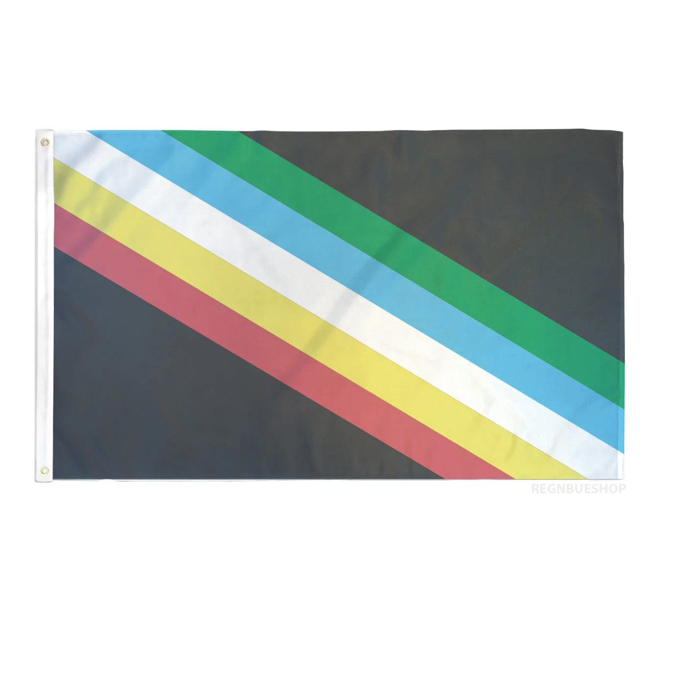 Disability Pride Flagg 90x150 cm
