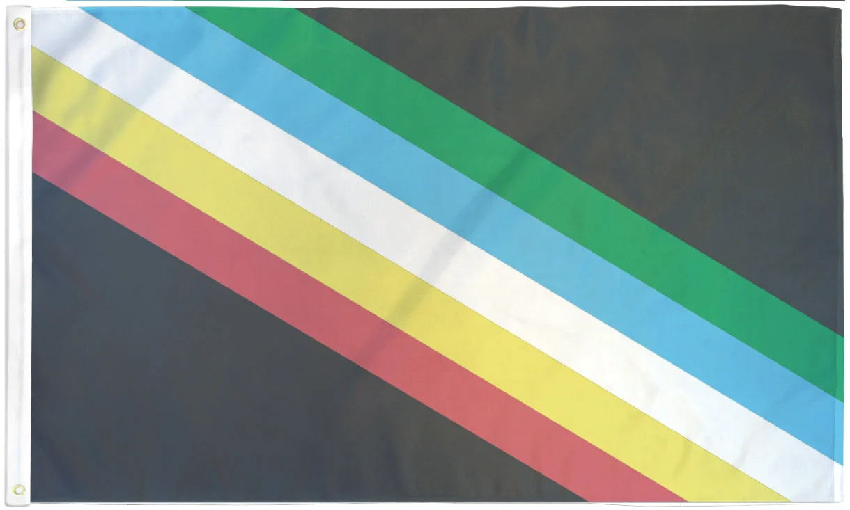 Disability Pride Flagg 90x150 cm