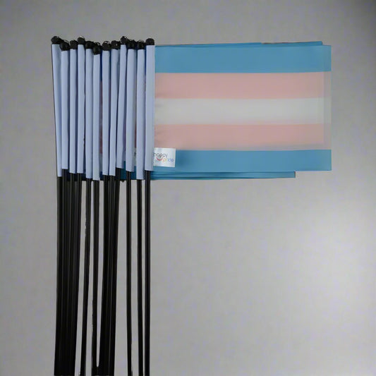Regnbueshop - Flagg Trans 21X14 Cm - Flagg
