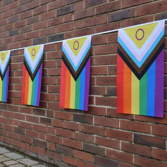 Inter Progress Bunting Flag Medium