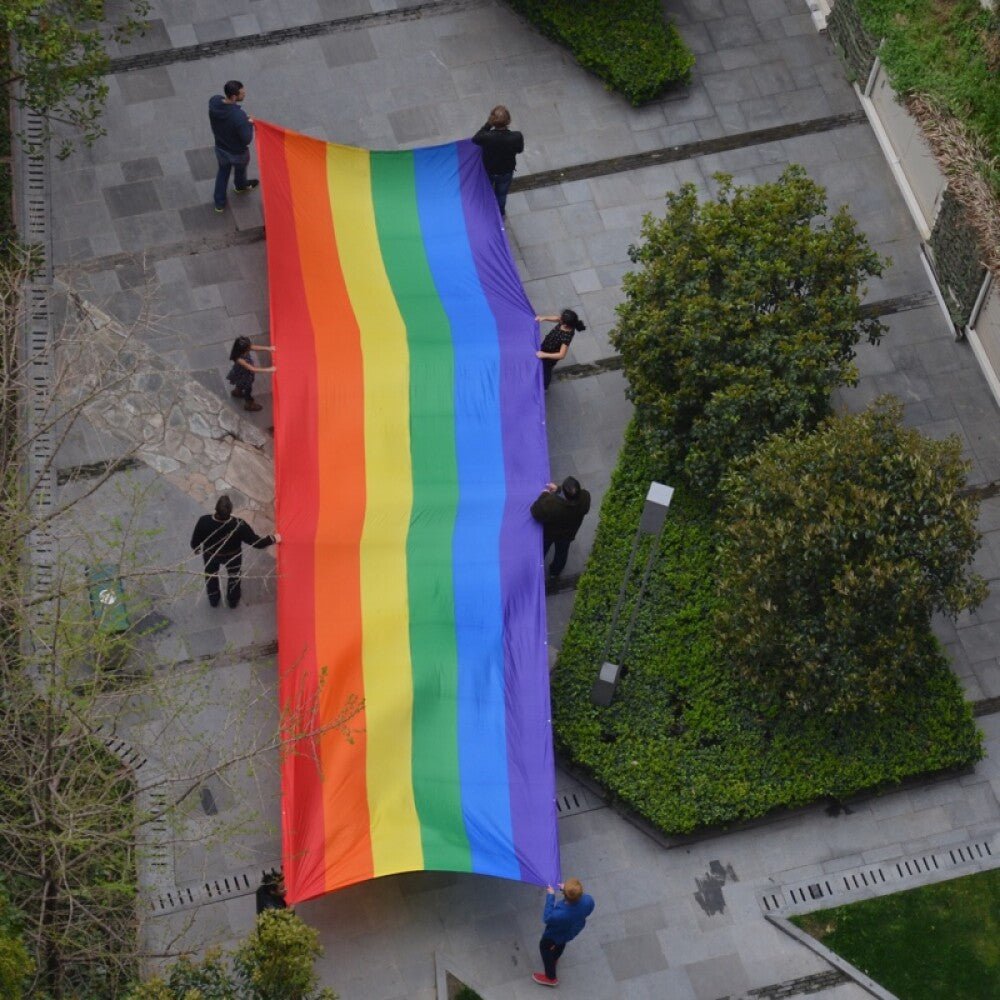 Regnbueshop - Paradeflagg Pride 3x10 M - Flagg