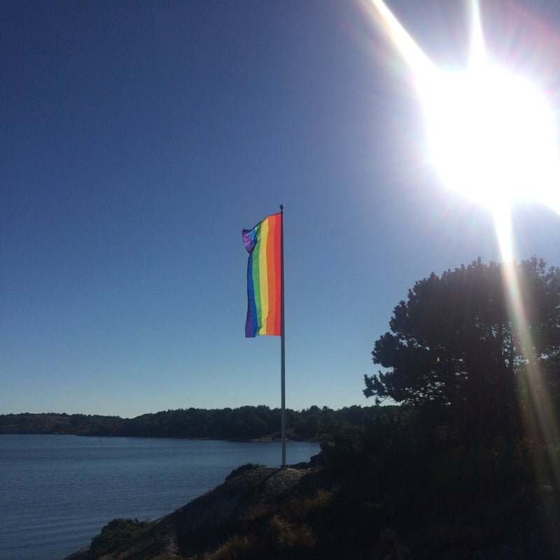 Regnbueshop - Pride Windtracker Flagg 150X400 cm - Flagg