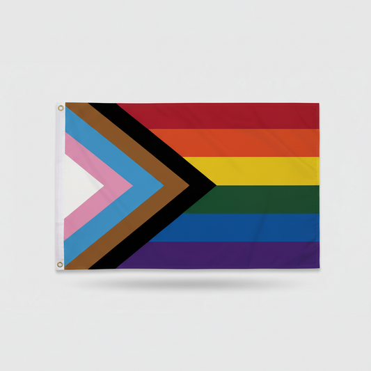 Progress Pride Flagg 90x60 cm