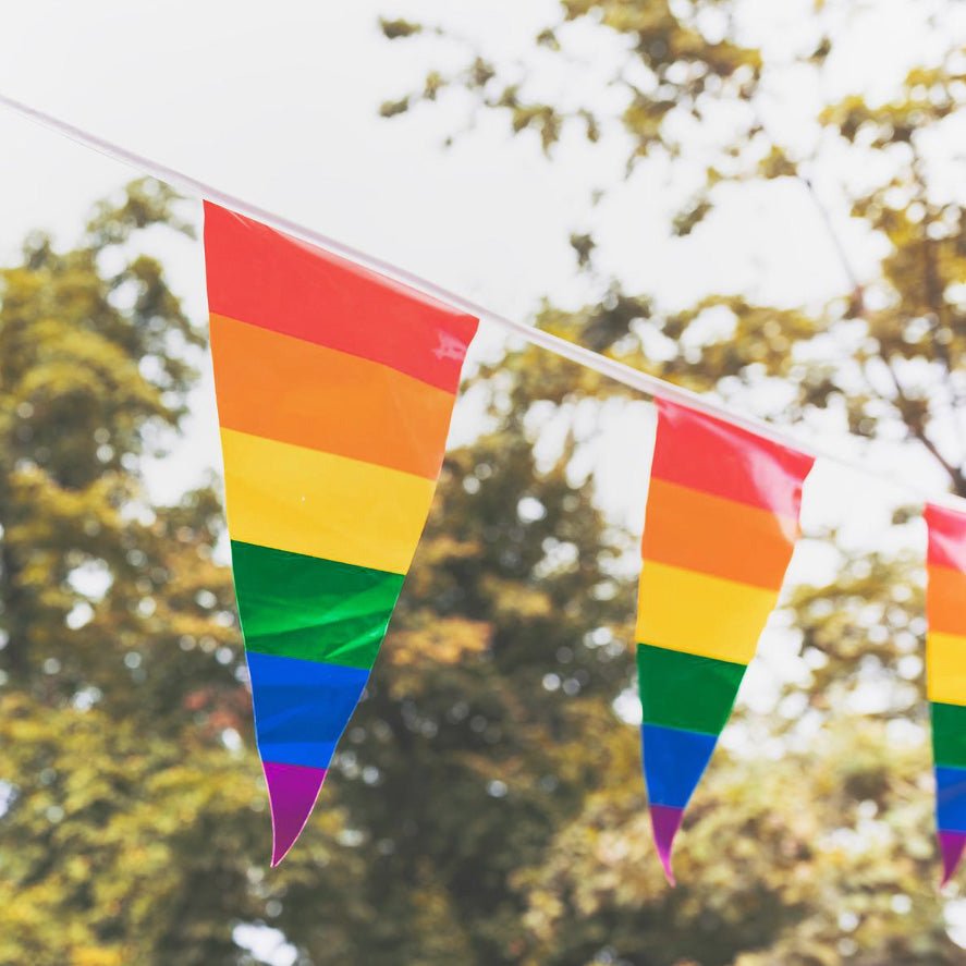 Regnbueshop - Regnbue Trianglel Bunting Flag 5 m - Flagg