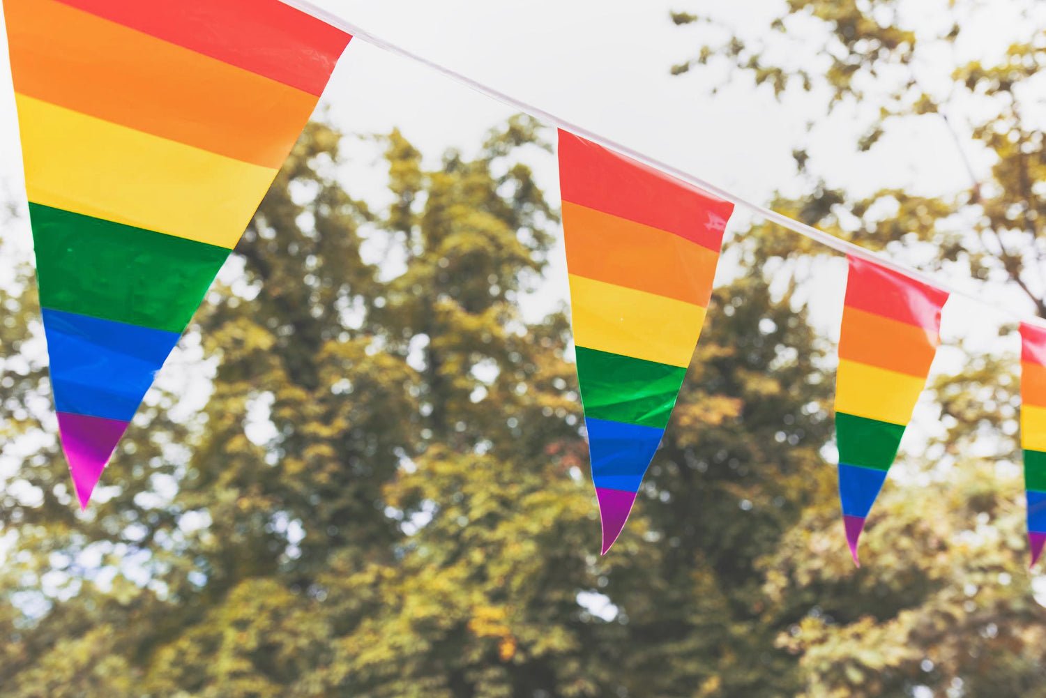 Regnbueshop - Regnbue Trianglel Bunting Flag 5 m - Flagg