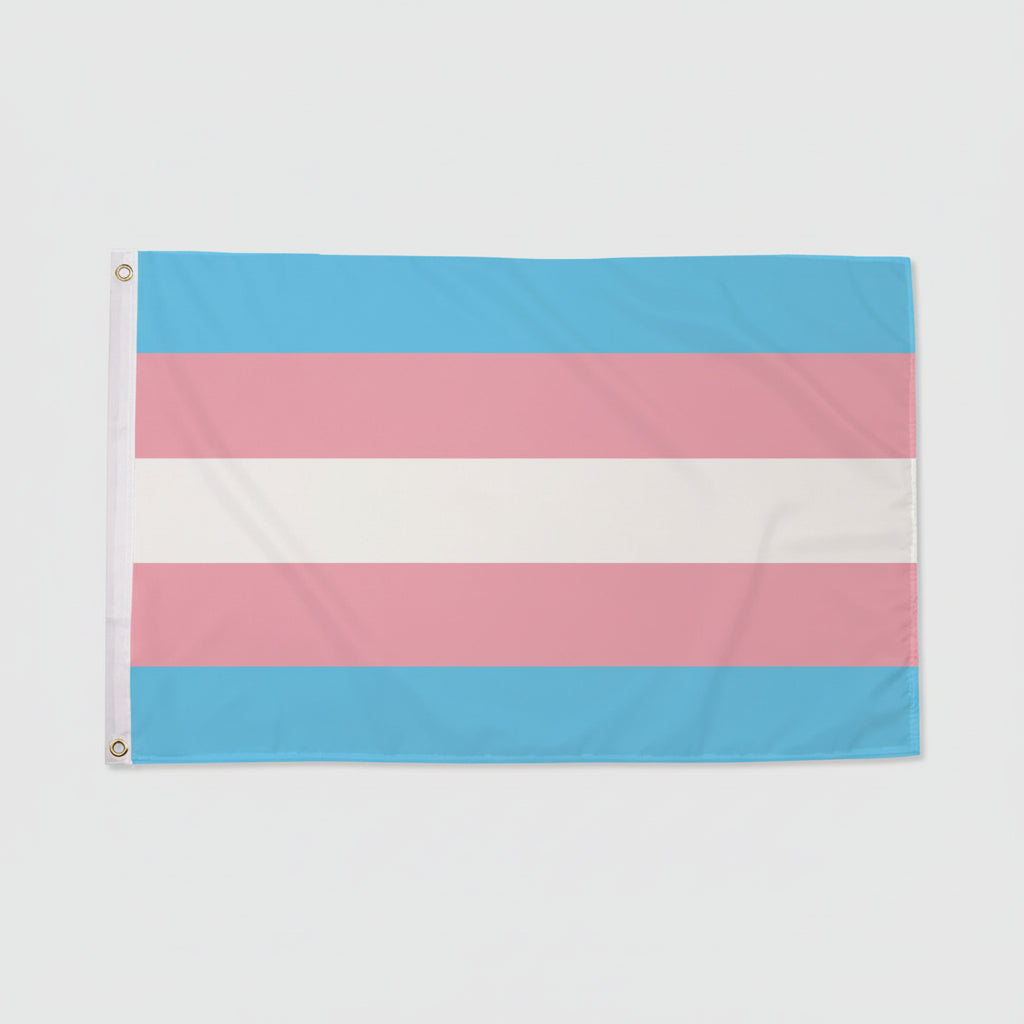 Regnbueshop - Trans Pride Flagg 90x60 cm - Flagg