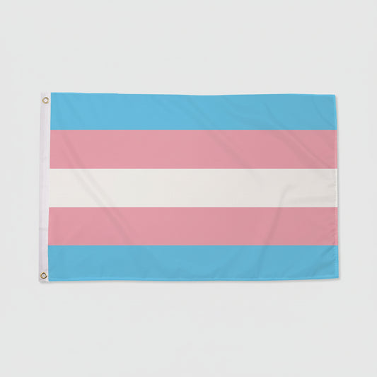 Regnbueshop - Trans Pride Flagg 90x60 cm - Flagg