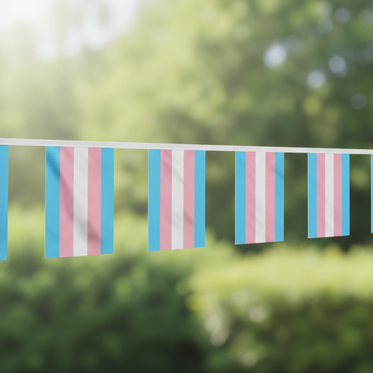 Regnbueshop - Transgender Bunting Flag 9 m - Flagg